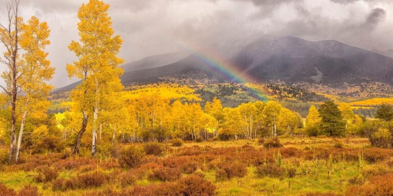 Top 10 Fall Foliage Destinations in North America