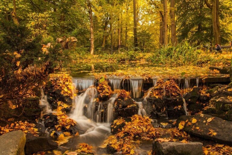 Enchanting Fall Getaways: Capture Nature’s Breathtaking Beauty