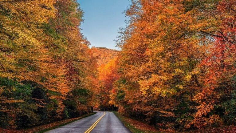 Explore North America’s Top Fall Foliage Destinations