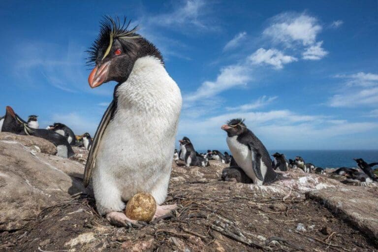 Discovering Nature: Top Destinations for Wildlife Lovers