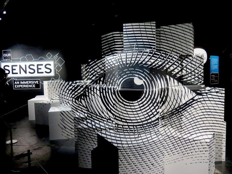 Discover the World: Immersive Cultural Travel Experiences