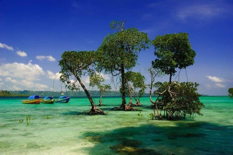 Exploring the Top Islands of the Andaman Sea: A Comprehensive Guide