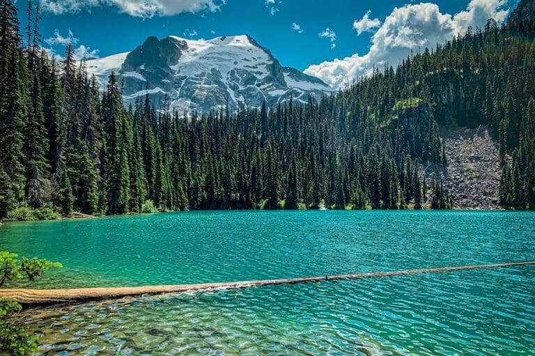 Exploring Canada’s Top Nature-Lover Road Trips: A Guide