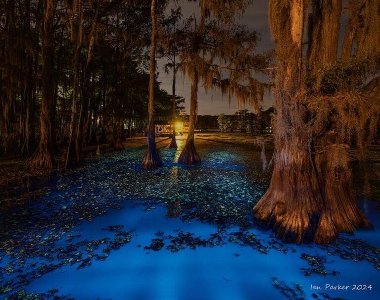 Discovering Europe’s Hidden Gems: Top Rural Escapes