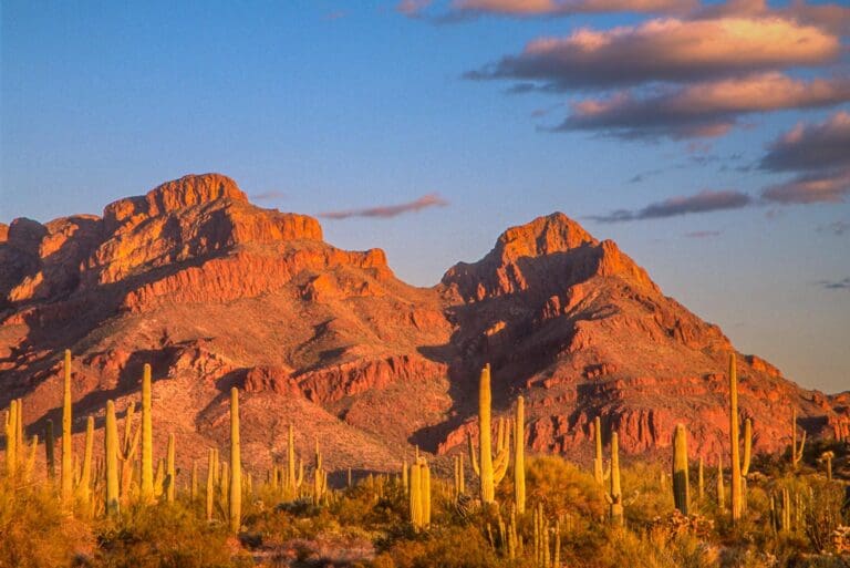 Explore the World’s Best Scenic Drives: A Traveler’s Guide Explore the World’s Best Scenic Drives: A Traveler’s Guide